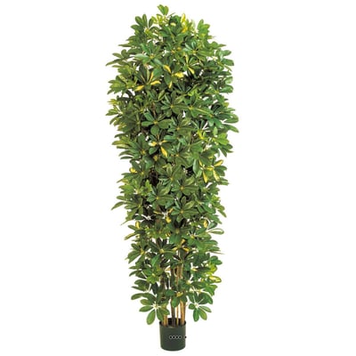 Schefflera artificiel en colonne en pot H 195 ARTIFICIELLES