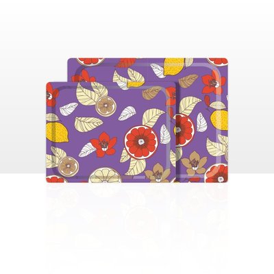 Plateau de service, lot de 2 (42 x 29 et 48 x 37 cm) DON HIERRO