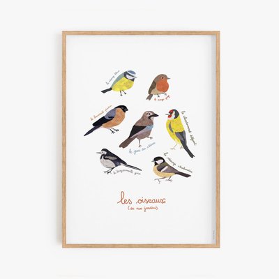 Little birds, affiche, cadre chêne 50x70cm COTTON BIRD