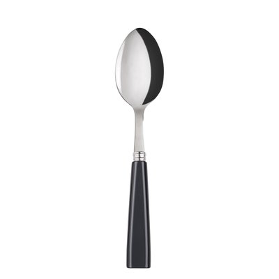 Cuillère à  soupe, Icône SABRE