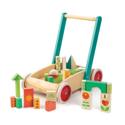 Chariot de marche avec blocs colorés TENDER LEAF TOYS