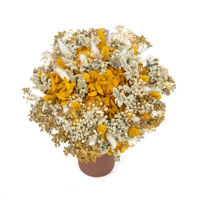 Bouquet de fleurs séchées M CARMEN RECONCILIATION VEGETALE