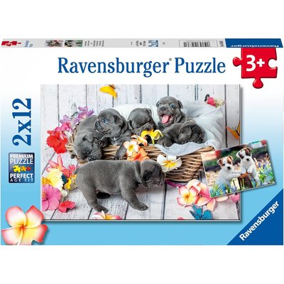 2 Puzzles pour enfant - (12 x 2) piéces RAVENSBURGER