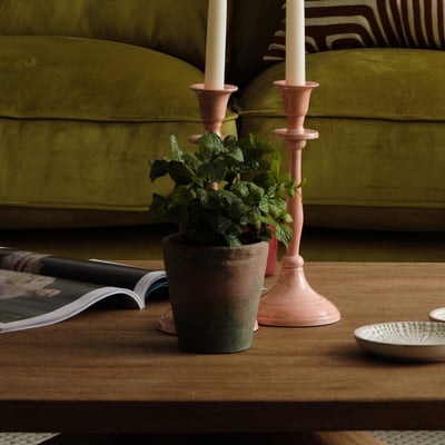 23cm Potted Mint in Terracotta Pot ÉDITÉ