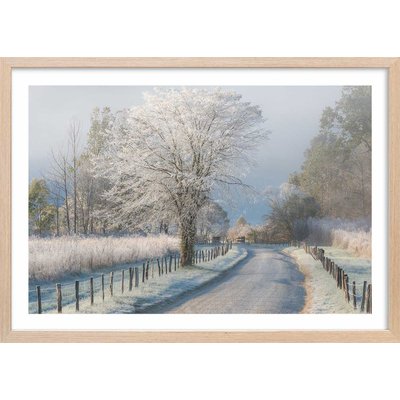 Affiche paysage Un matin glacial HEXOA