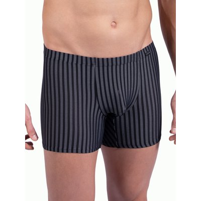 Boxer RED2311 OLAF BENZ