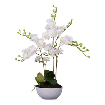 85cm Artificial White Orchid in White Ceramic Pot SO'HOME