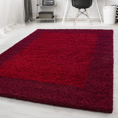 Tapis de salon shaggy bicolore OTTA NAZAR RUGS