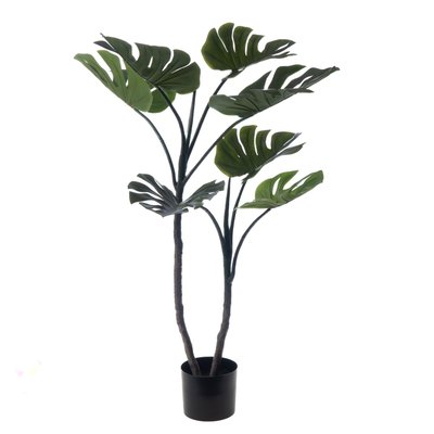 Monstera en pot 130 AMADEUS