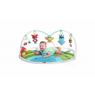 Tapis d'éveil avec arches, dans la Prairie TINY LOVE