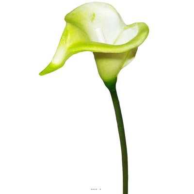 Arum calla fleur artificielle Verte H 42 cm S ARTIFICIELLES