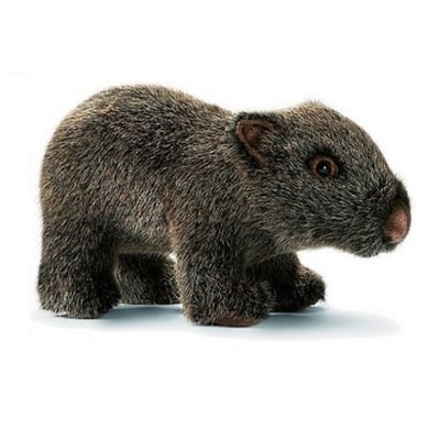 - Peluche Wombat Bebe 23cm ANIMA