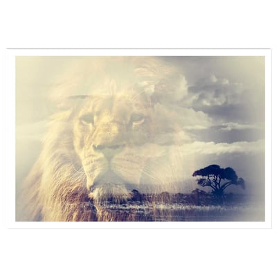Affiche animaux lion and mount kilimanjaro HEXOA