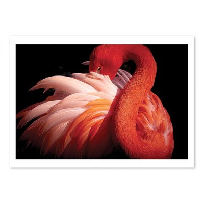 Affiche d’art 30 x 40 cm - Flamingo - Makoto Nishikura WALL EDITIONS