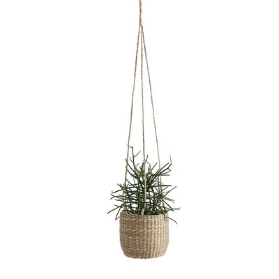 Ophangbare bloempt in herbarium Ø13 cm, Mila LA REDOUTE INTERIEURS