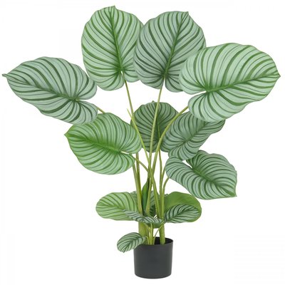 Plante verte calathea artificiel 100cm LIGNE DECO