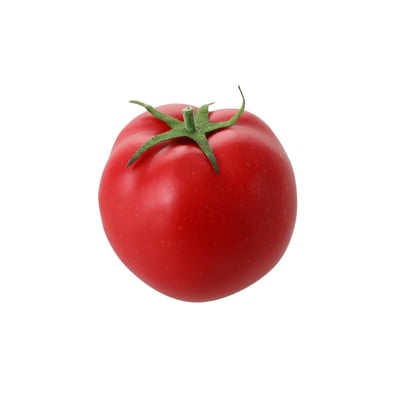 Tomate artificielle D6 SIA