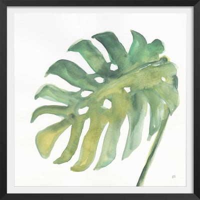 Affiche Plame watercolor HEXOA