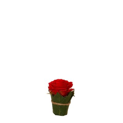 Composition de roses entourée de feuilles artificielles H9 SIA DECO