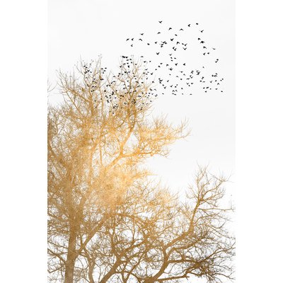 Tableau dessin Ciel d'or HEXOA
