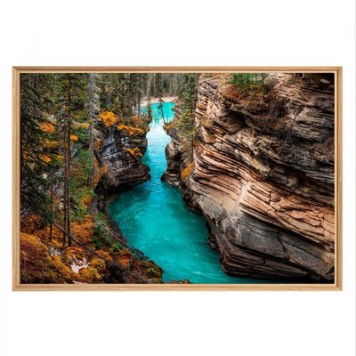 Tableau mural mat encadré canyon CEANOTHE