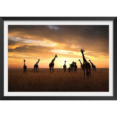 Affiche animaux girafes family HEXOA
