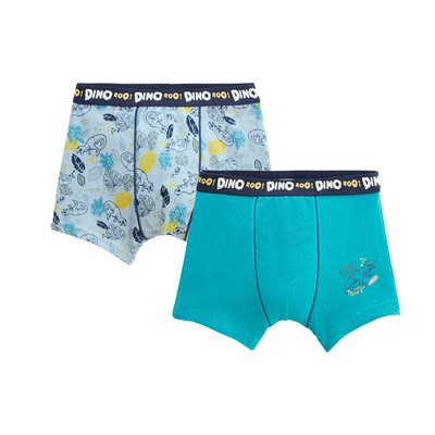 Lot de 2 boxers garçon Dino PETIT BEGUIN