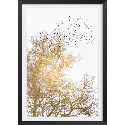 Affiche dessin ""Ciel d'or"" HEXOA