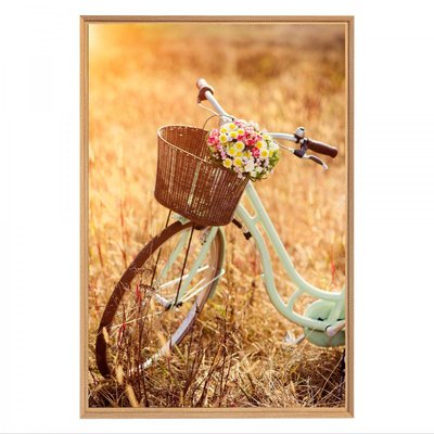 Tableau mural mat encadré bicyclette CEANOTHE