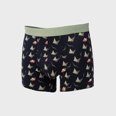 Boxer en coton biologique FANTAISIE BILLYBELT