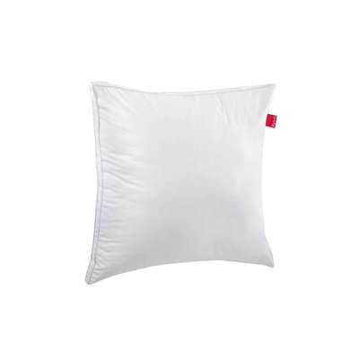 Oreiller ferme ALOE VERA EPEDA