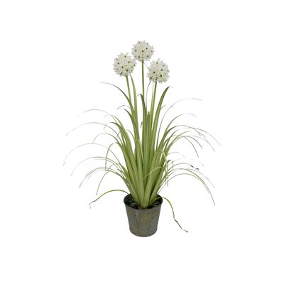 Agapanthe artificielle à fleurs hes pot en zinc NOW'S HOME