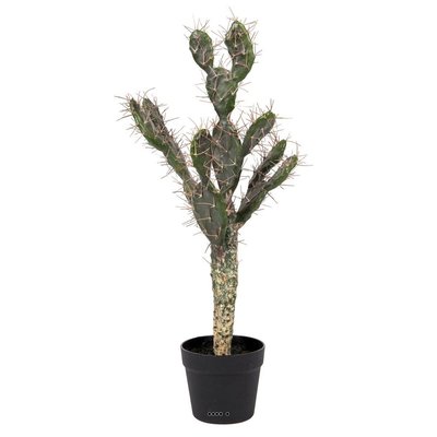 Cactus Opuntia factice cactée en pot dense ARTIFICIELLES