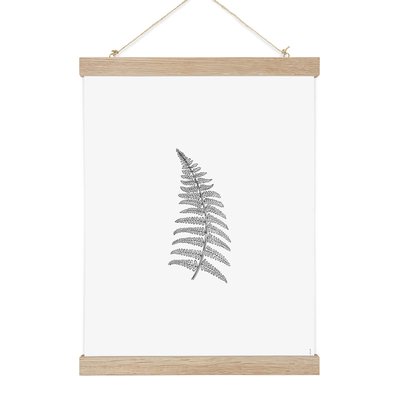 Herbarium White II, affiche +  cadre chêne. 50cm x 70cm COTTON BIRD