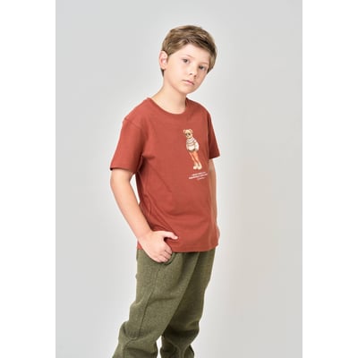 T-shirt regular garçon en 100% coton jersey imprimé ours COSYBEAR DEELUXE
