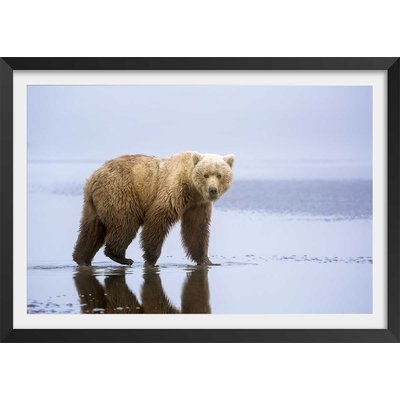 Affiche la marche de l'Ours HEXOA