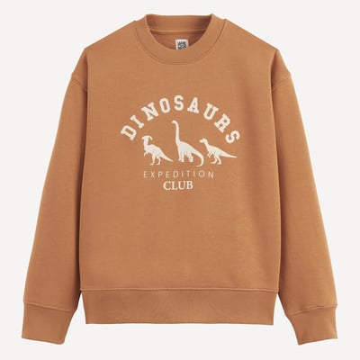 Felpa girocollo, stampa dinosauri, pile LA REDOUTE COLLECTIONS