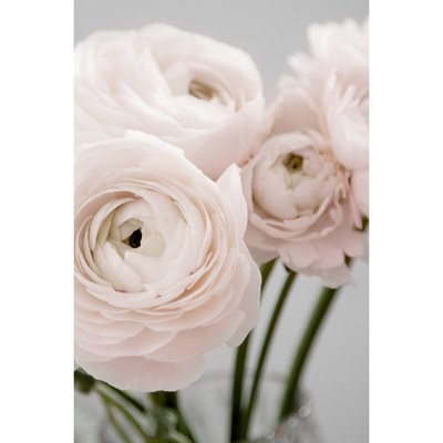 Tableau Mural Bouquet Rose FLEUR CEANOTHE