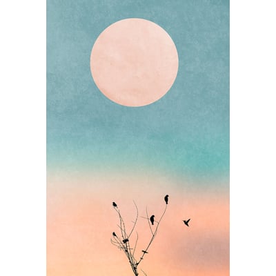 Tableau paysage Douceur de vivre HEXOA