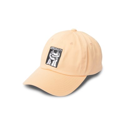 Casquette STONE BLOOM VOLCOM