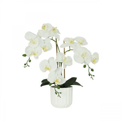 Orchidées artificielles toucher naturel blanc 52cm LIGNE DECO