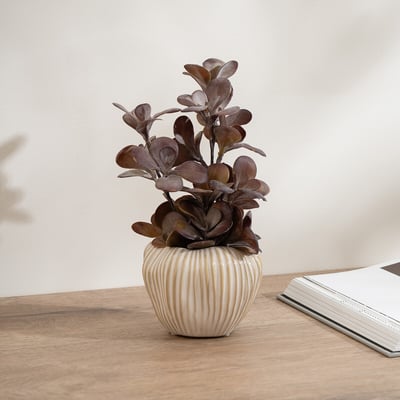 30cm Burgundy Dusty Eucalyptus Arrangement SO'HOME