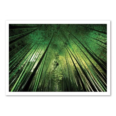 Affiche d’art et cadre noir 30 x 40 cm - Bamboo night - Takeshi  Marumoto WALL EDITIONS