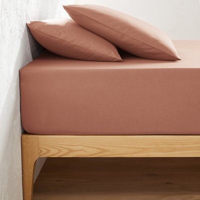 Drap housse uni coton, bonnet 32cm, Scenario LA REDOUTE INTERIEURS