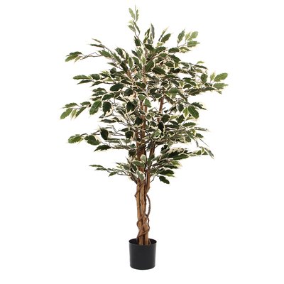 Plante artificielle FICUS MICA DECORATIONS
