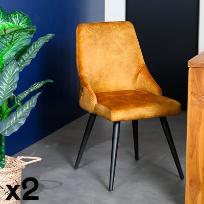 Chaise en velours havane (lot de 2) MALMOE PIER IMPORT