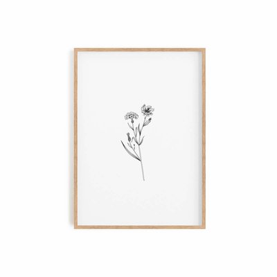 Herbarium White III, affiche +  cadre chêne. 50cm x 70cm COTTON BIRD