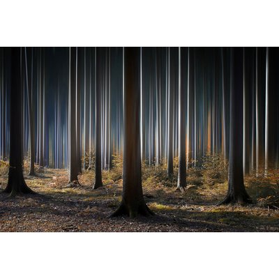 Tableau forêt fantastique HEXOA