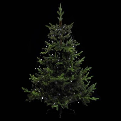 Robe lumineuse extérieur 3m blanc froid 170 LED avec transfo FEERIC LIGHTS & CHRISTMAS