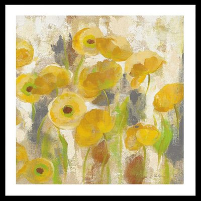 Poster boutons d'or HEXOA